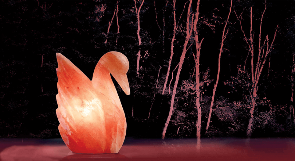 Swan-Shape-Salt-Lamp